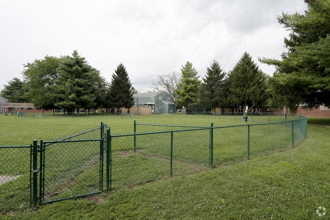 Dog Park