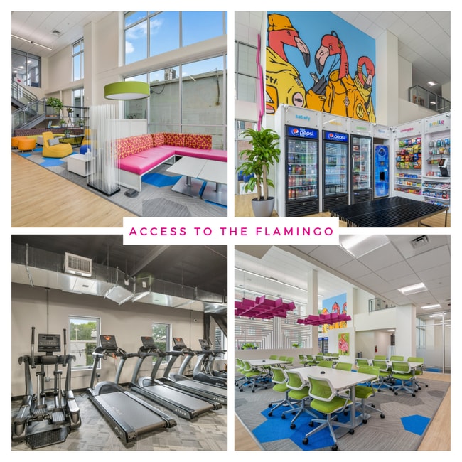 Photo - 813 W Springfield