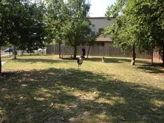 Photo - 2811 Corbin Ln