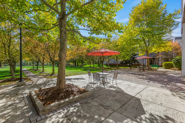 Community Picnic Area