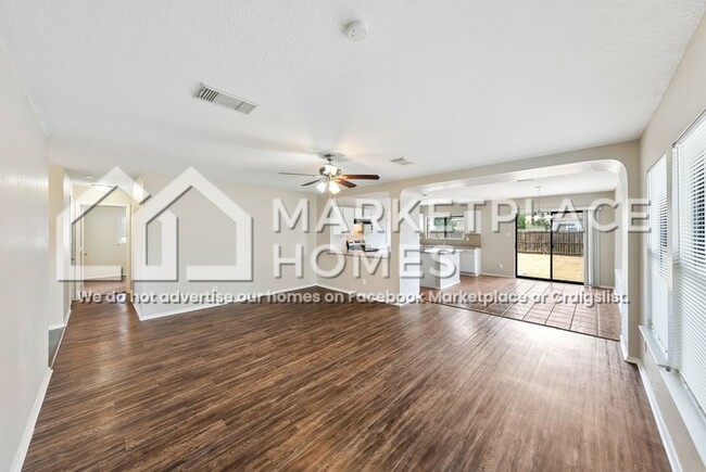 Photo - 7250 Dwarf Palm