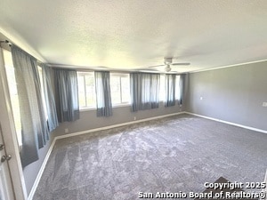 Photo - 318 Sprucewood Ln