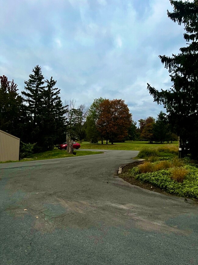 Photo - 1049 Danby Rd