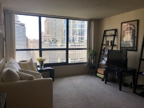 Photo - 405 N Wabash Ave Unit 2008