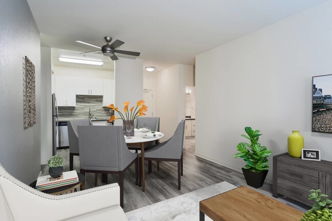 Pacific Heights Apartments For Rent With 1 Bedroom San Francisco Photo 2000 Post