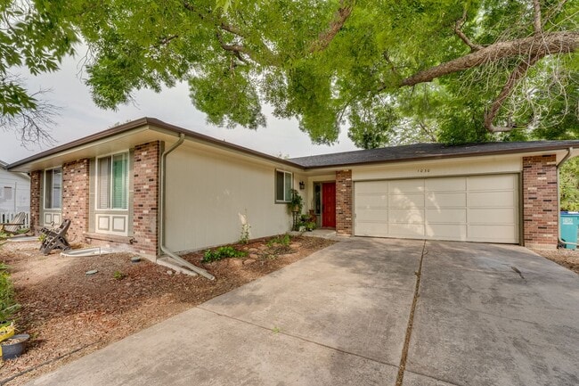 Building Photo - Beautiful 5 bed, 3 Bath House in Central Fort Collins!