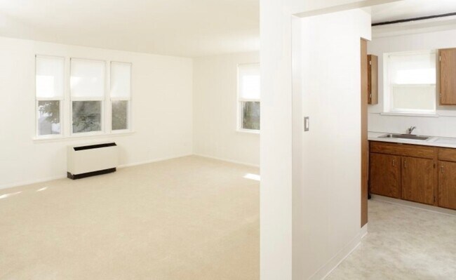 Photo - Chapin Apartments