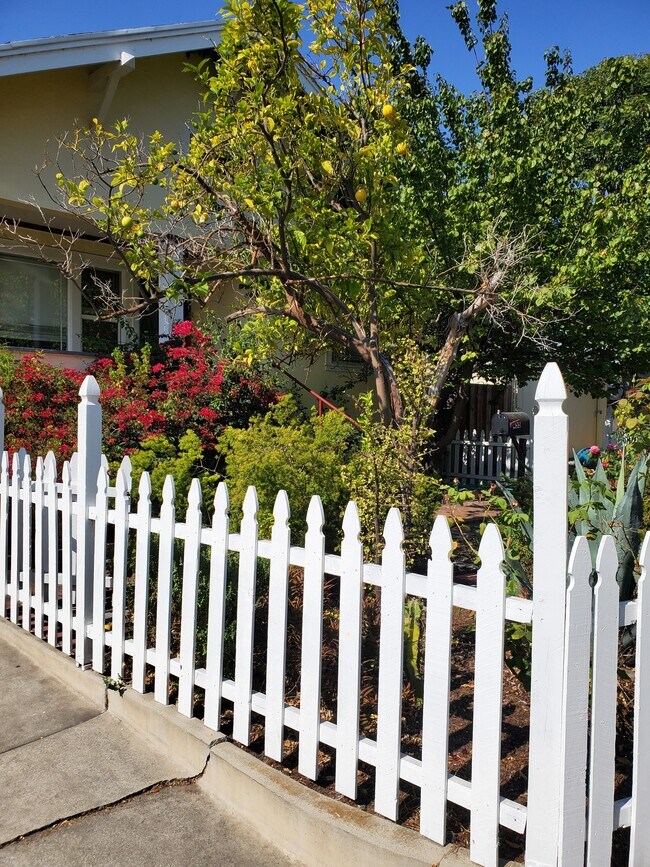 Garden - 455 Washington St Unit A