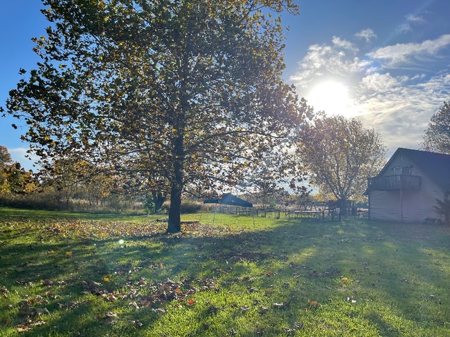 Photo - 4309 Williams Rd