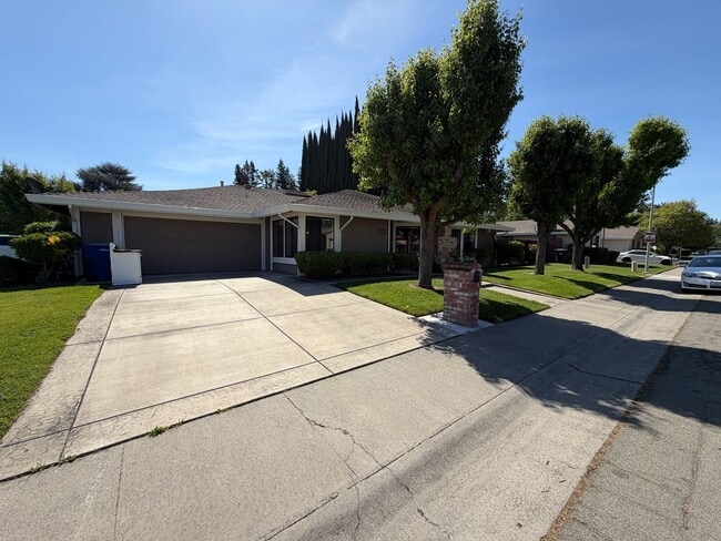 Photo - Well Maintained Duplex