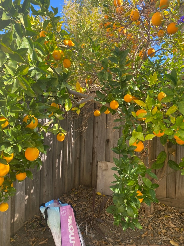 Photo - 0Hidden Grove