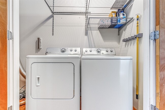 Building Photo - 1312 Live Oak St Unit 223