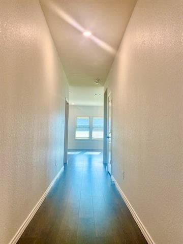 Photo - 113 Alydar Ln