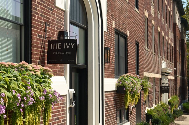 The Ivy - The Ivy Apartments