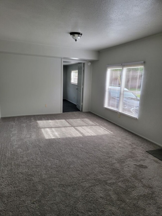 Photo - Completely Renovated HUGE 1/1!!!