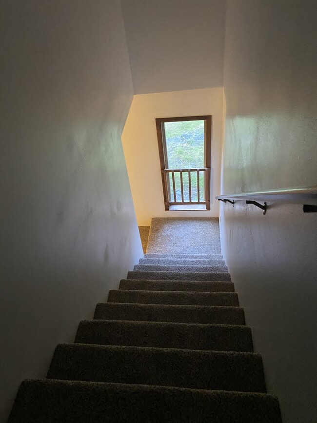Photo - 10429 Bear Paw Dr