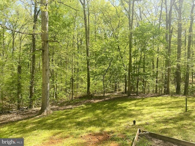 Photo - 6009 Noranda Dr