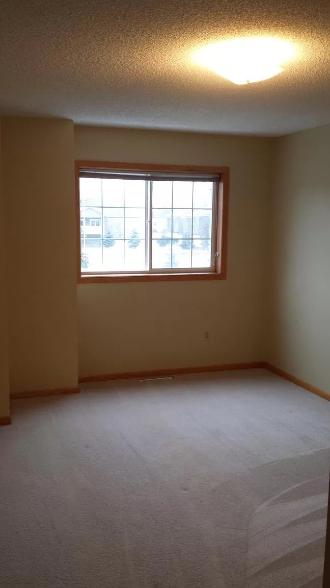 1870 Sapphire Point Townhome Townhome Rental in Eagan MN