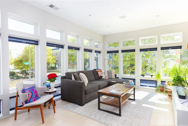Living space with tons of light (custom shades from The Shade Store). - 1001 Monroe St NW Unit #3