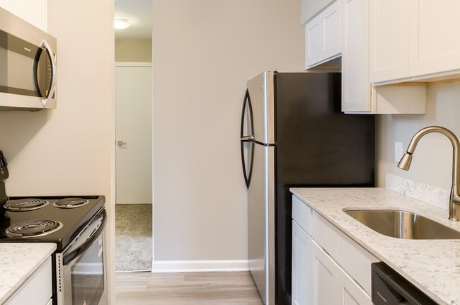 Photo - Carmel Brook