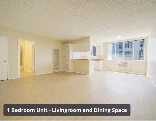 1 Bed/1 Bath - Living Space