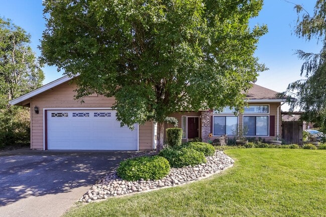 Photo - Corner Lot, In-ground Pool