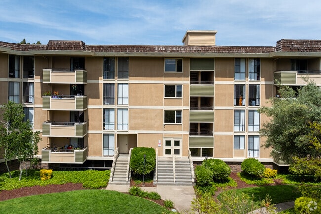 Photo - The Highlander