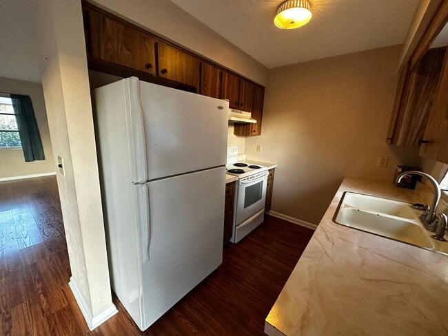 Photo - Beverly Hills Cutie 1/1