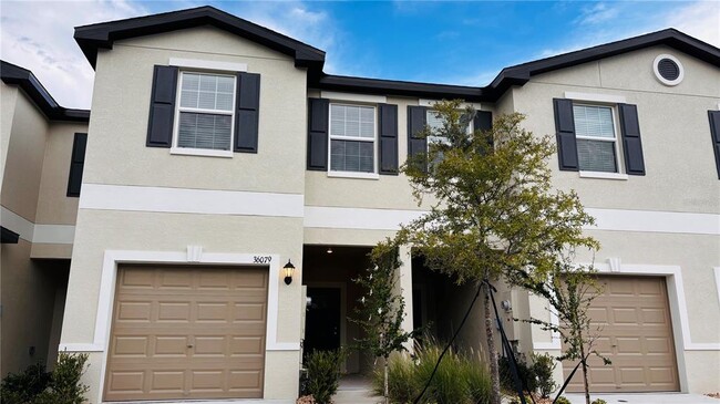 Building Photo - 36079 Risa Michele St Rental