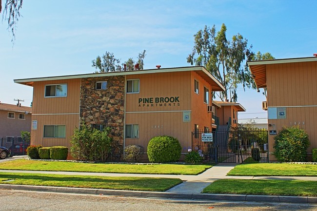 Pine Brook - Pine Brook Apartments