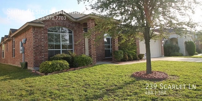 Building Photo - 239 Scarlet Ln