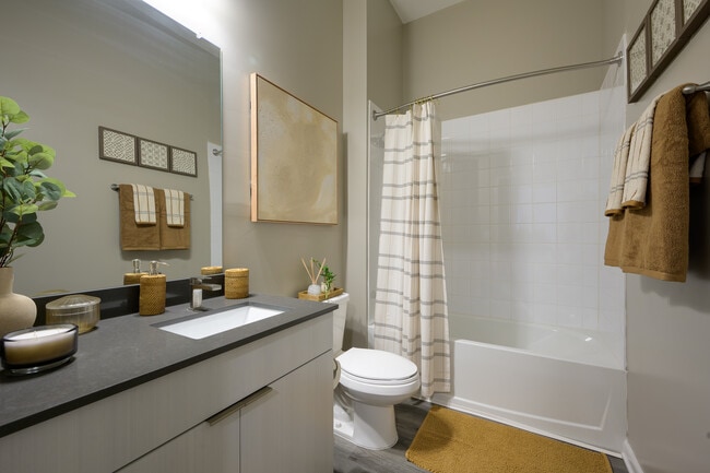 Photo - The Metropolitan Gainesville