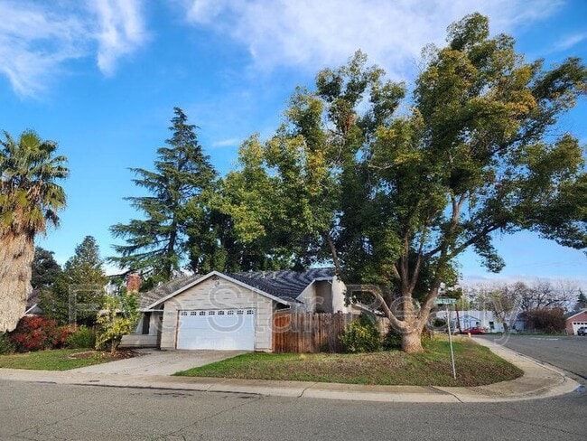 Photo - 1813 Lou Ella Ln