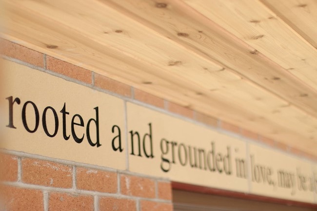 Photo - The Endurance