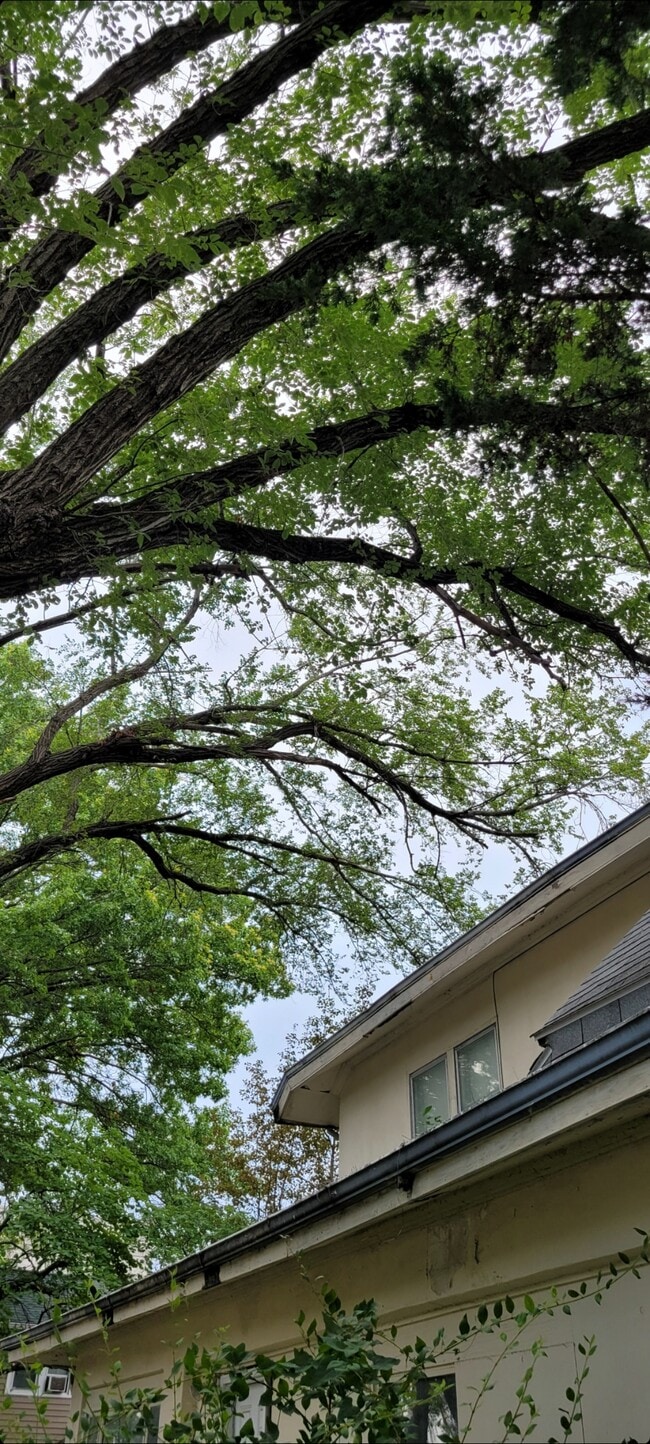 Photo - 311 E Harrison St