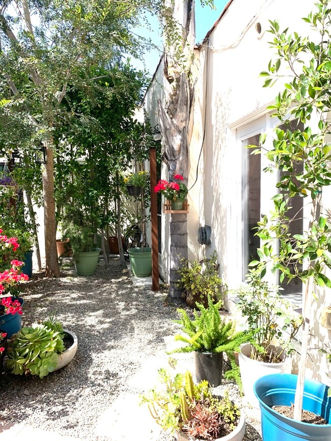 Jardín exterior - 605 N Windsor Blvd Unidad 605