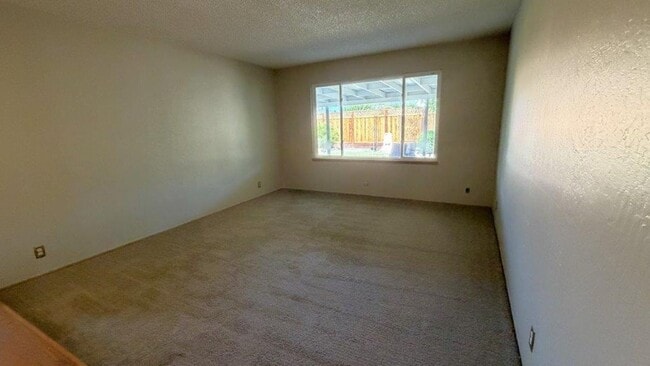 Photo - 3919 Almondwood Ct