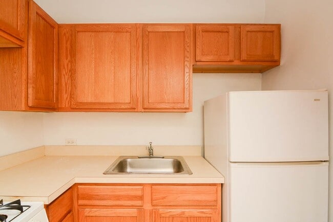 Photo - 1169 N Dearborn St Unit 504