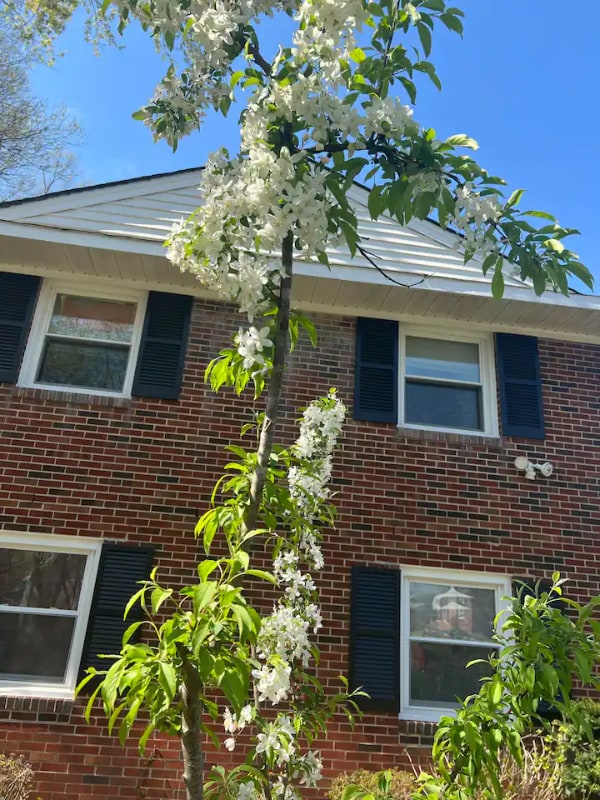 Photo - 9312 St Andrews Pl