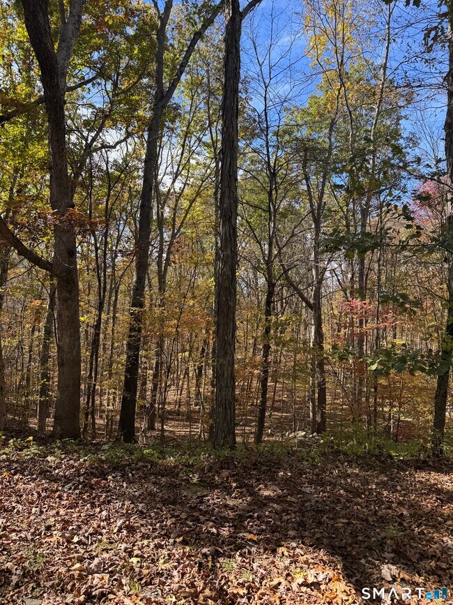 Photo - 87 Buff Cap Rd