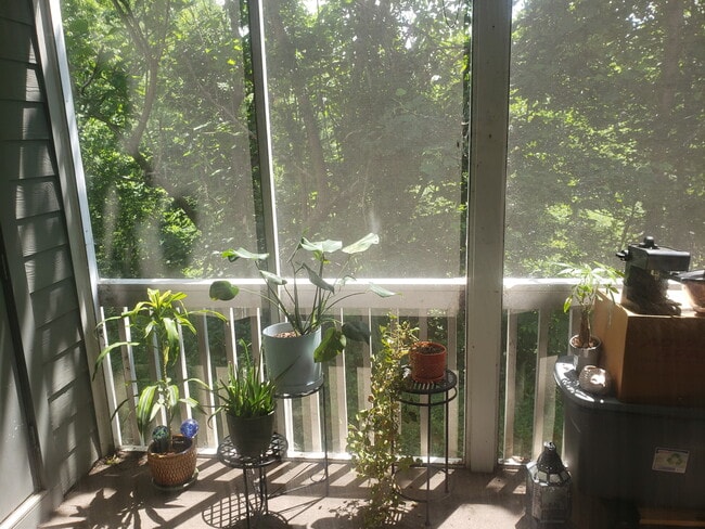 Photo - 3803 Florham Pl Unit 3803 Florham Pl