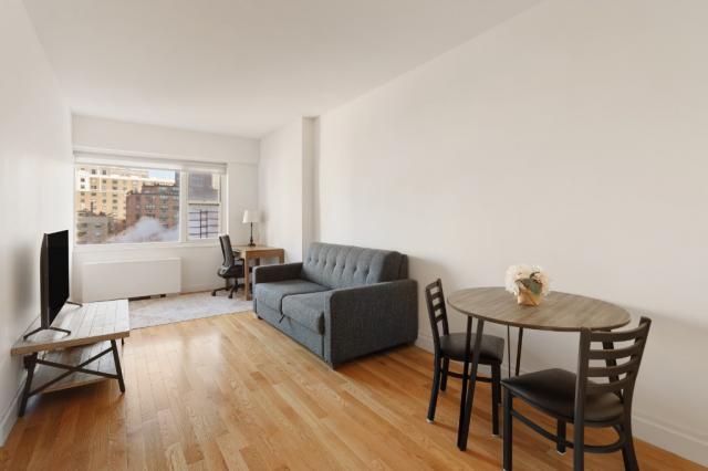 1 bedroom in NEW YORK NY 10003 - 1 bedroom in NEW YORK NY 10003 Unidad 9F Rental