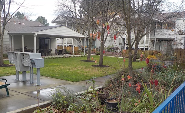 Photo - Conifer Gardens