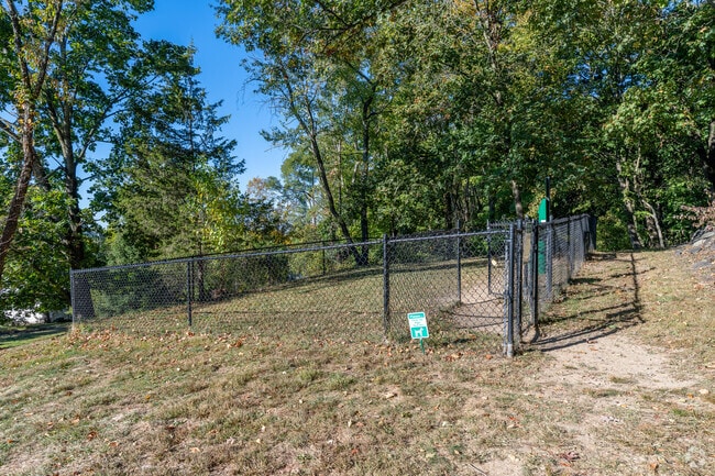 Dog Park