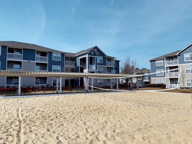 Volleyball Court