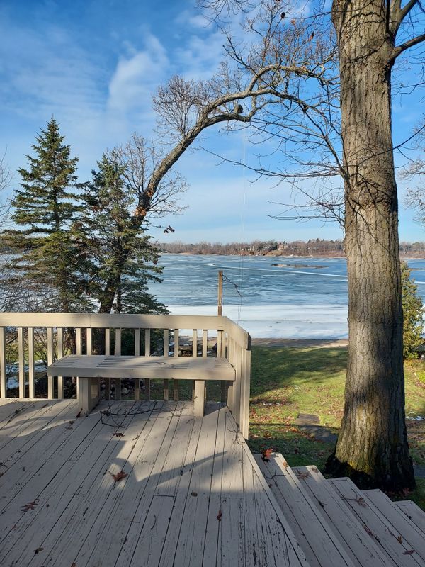 Photo - 1700 Hamilton Dr