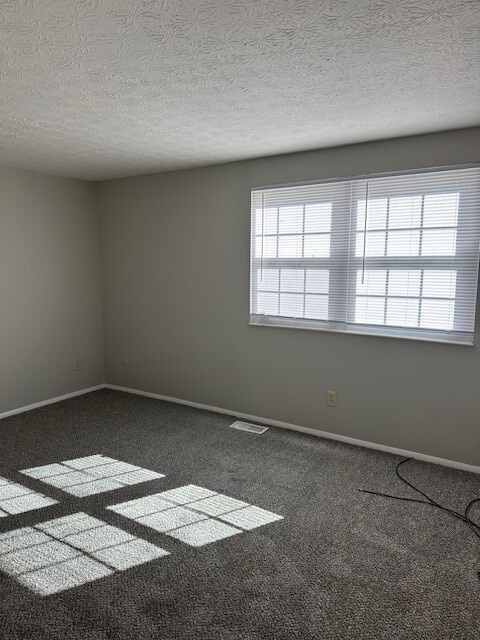 Living room - 6665 Centennial Dr