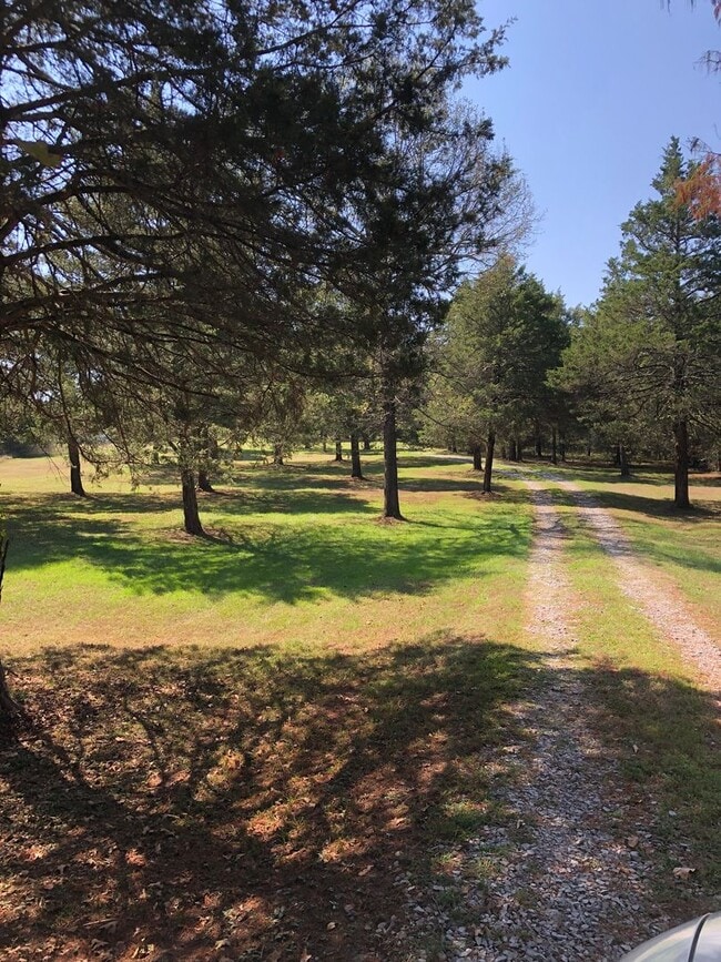 Photo - Secluded Country Retreat — Minutes from Se...