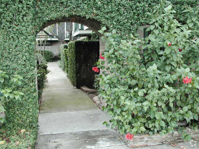 Court Yard