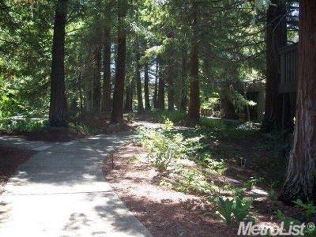 Photo - Lower-Level Condo in Gated Timberlake, The...
